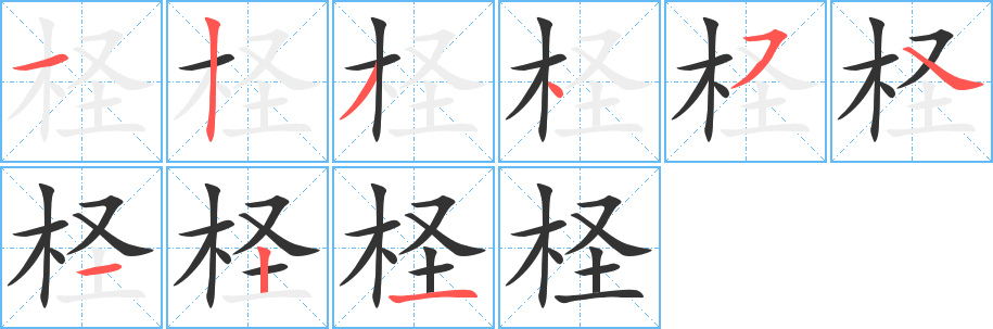 柽字笔顺的正确写法图