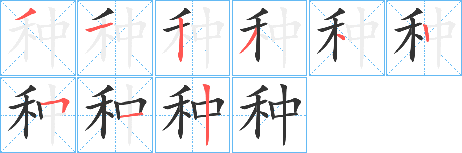 种字笔顺的正确写法图