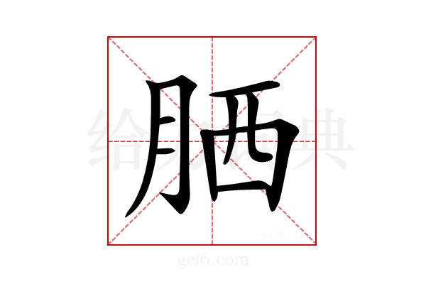 𦚵