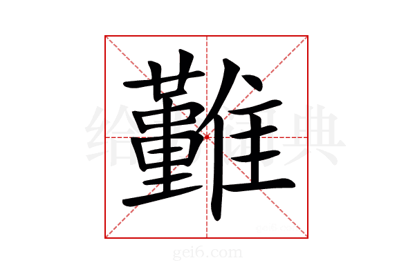 𩁤