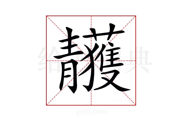 𩇥