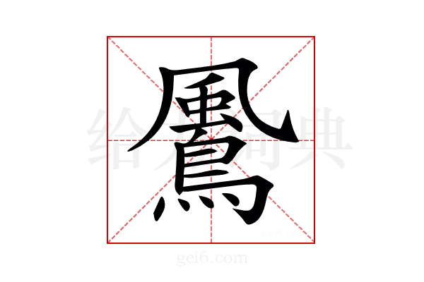 𩘵