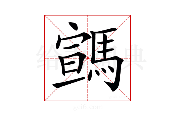 𩤡