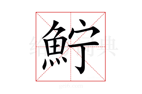 𩶂