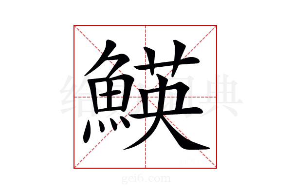 𩹅