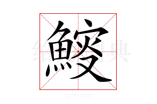 𩹔