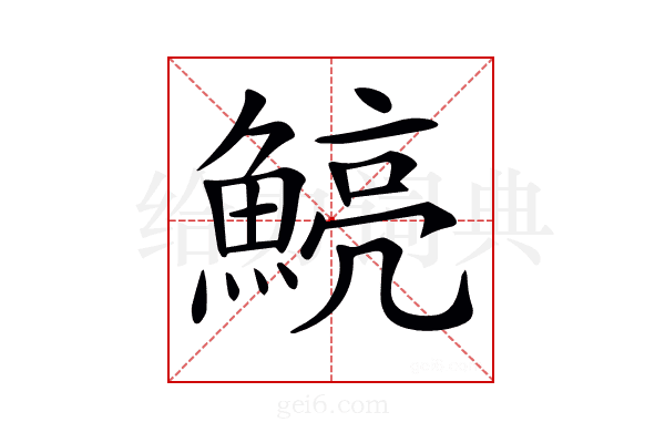 𩹗