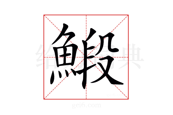 𩹨