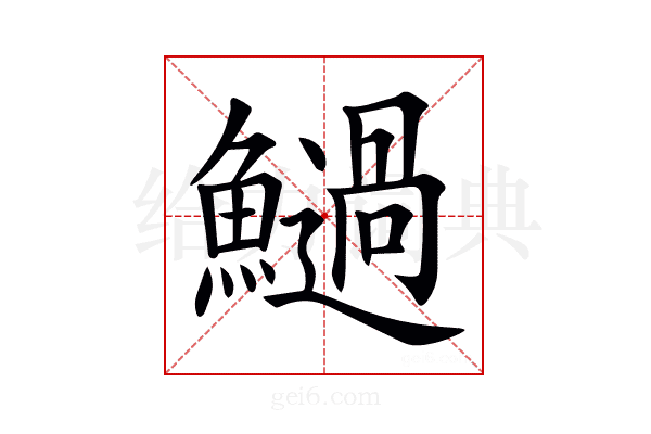 𩼣