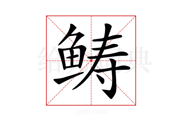 𩾂