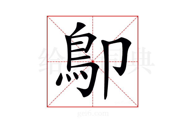 𩾓