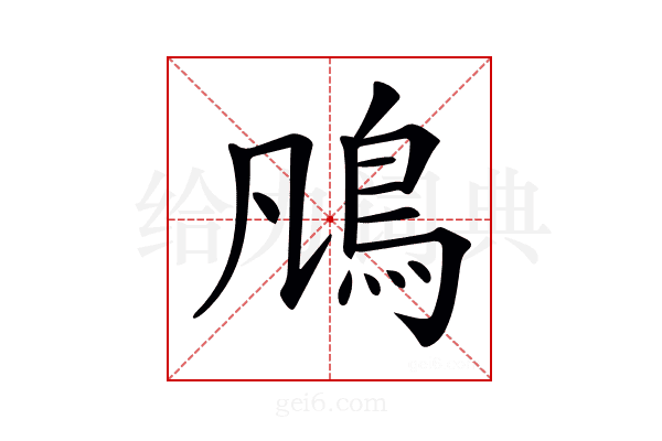 𩾨