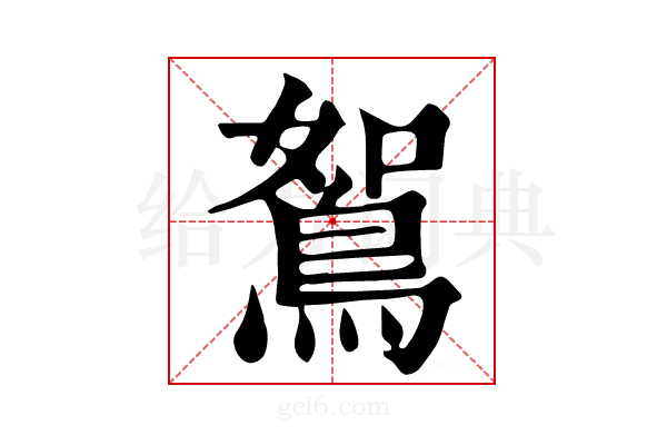 鴽