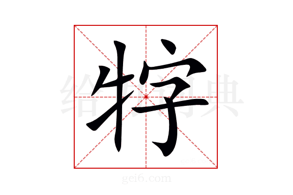 牸
