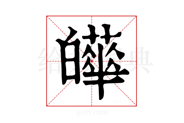 𤾴