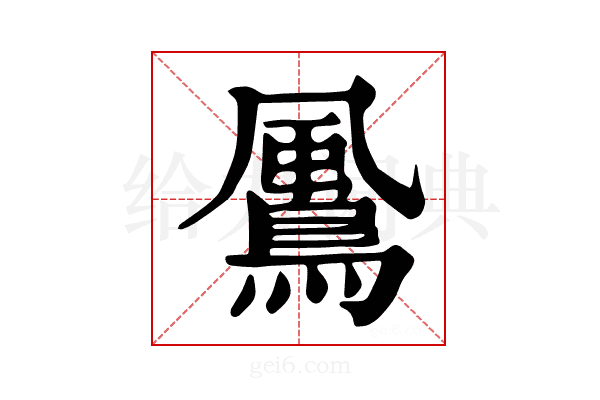 𩘵