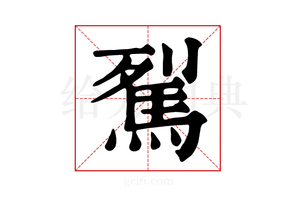 𩢾