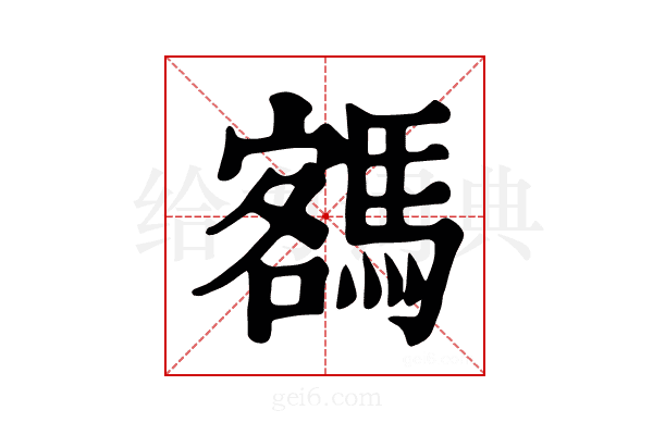 𩤩