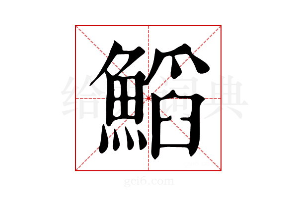 𩹴