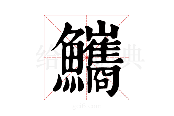 𩽨