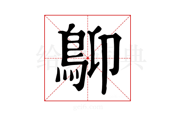 𩾱
