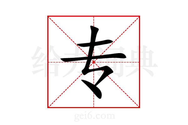 专
