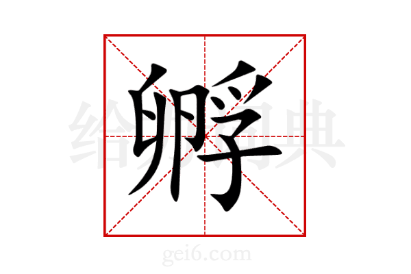 孵