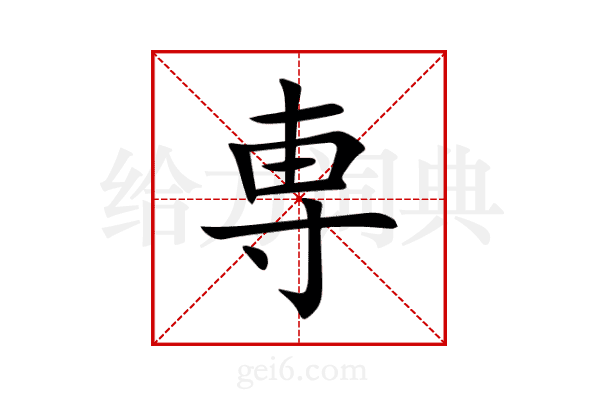 専