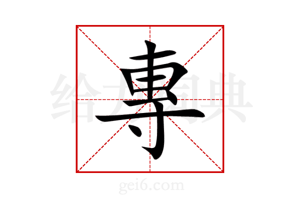 專