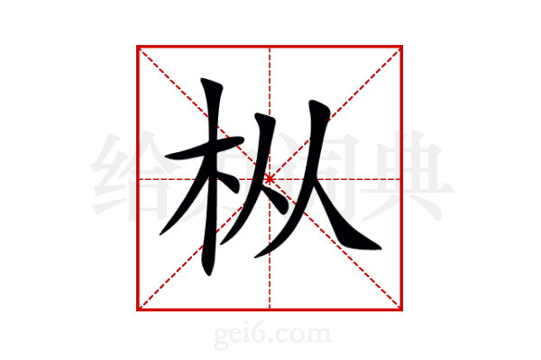 枞