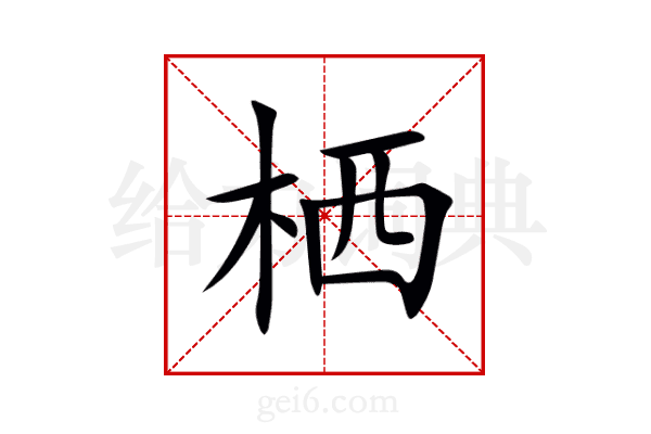 栖