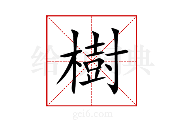 樹