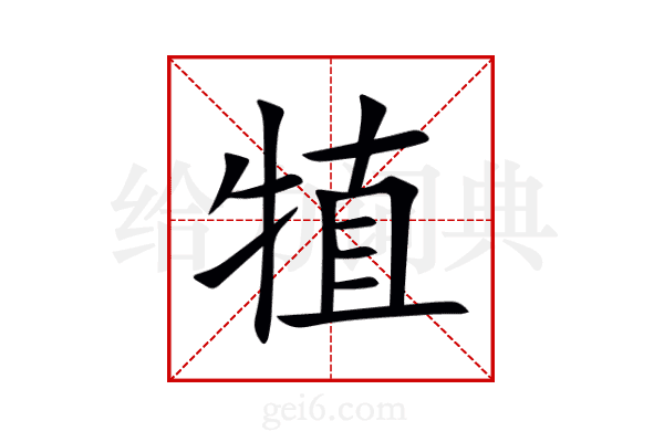 犆
