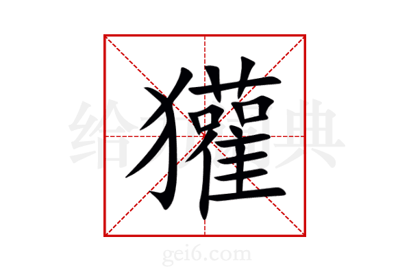 獾