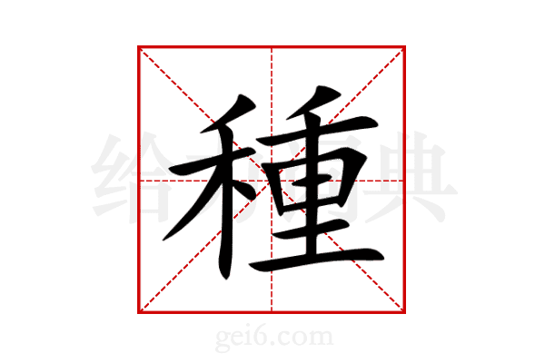 種