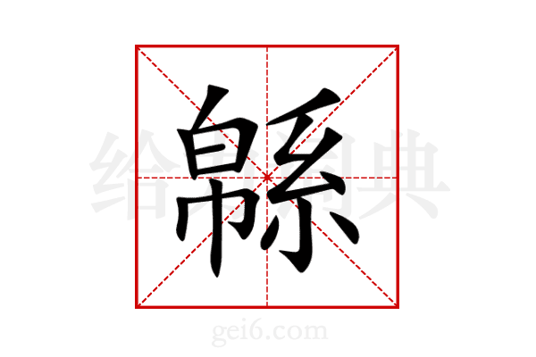 緜