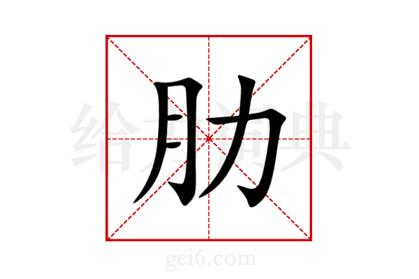 肋