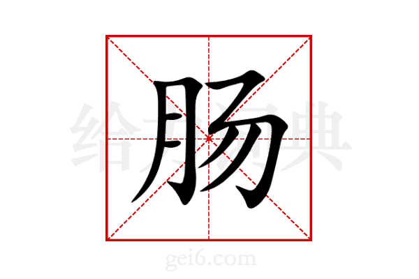 肠