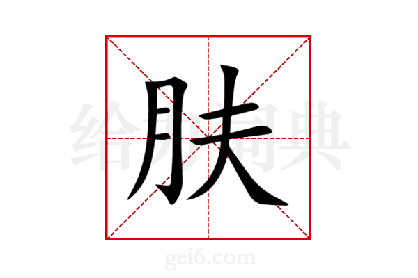 肤