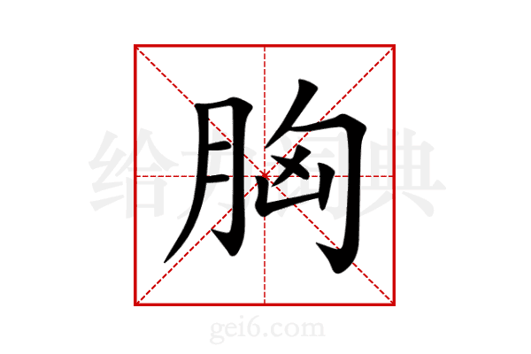 胸