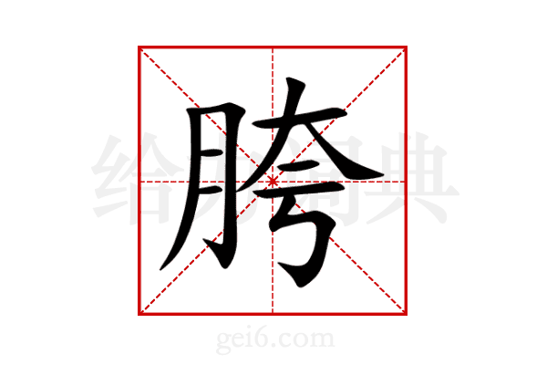 胯