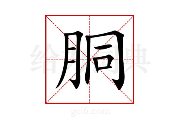胴