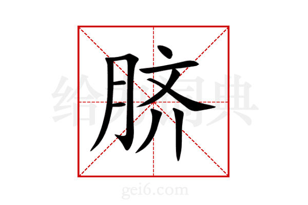 脐