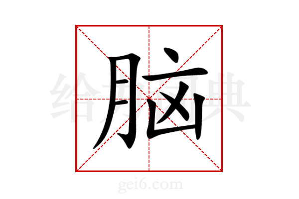 脑