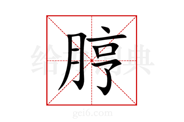 脝