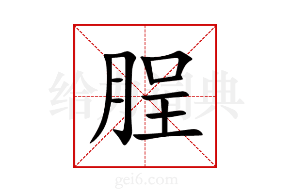 脭