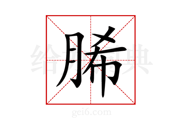 脪