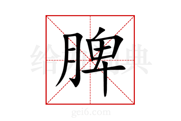 脾