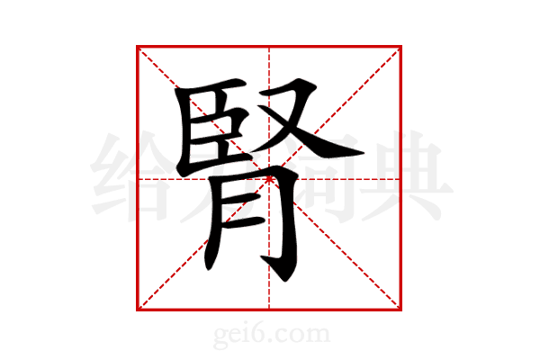 腎