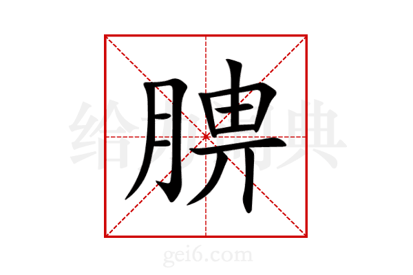 腗